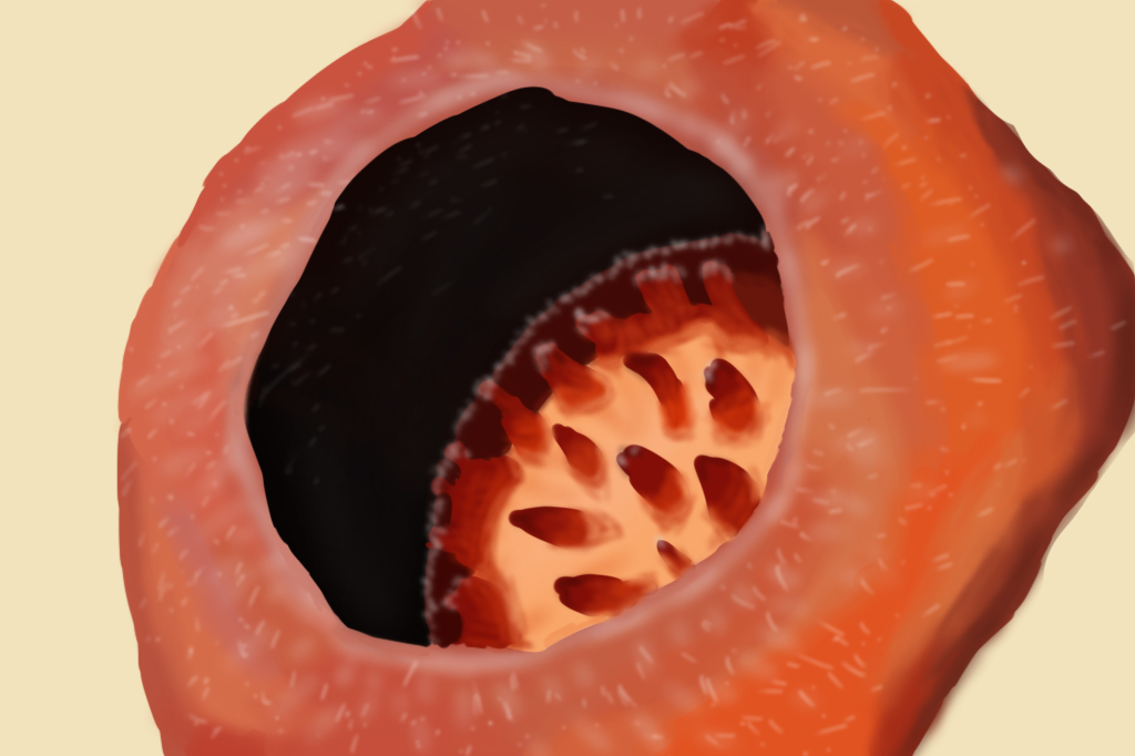 Rafflesia illustration close-up