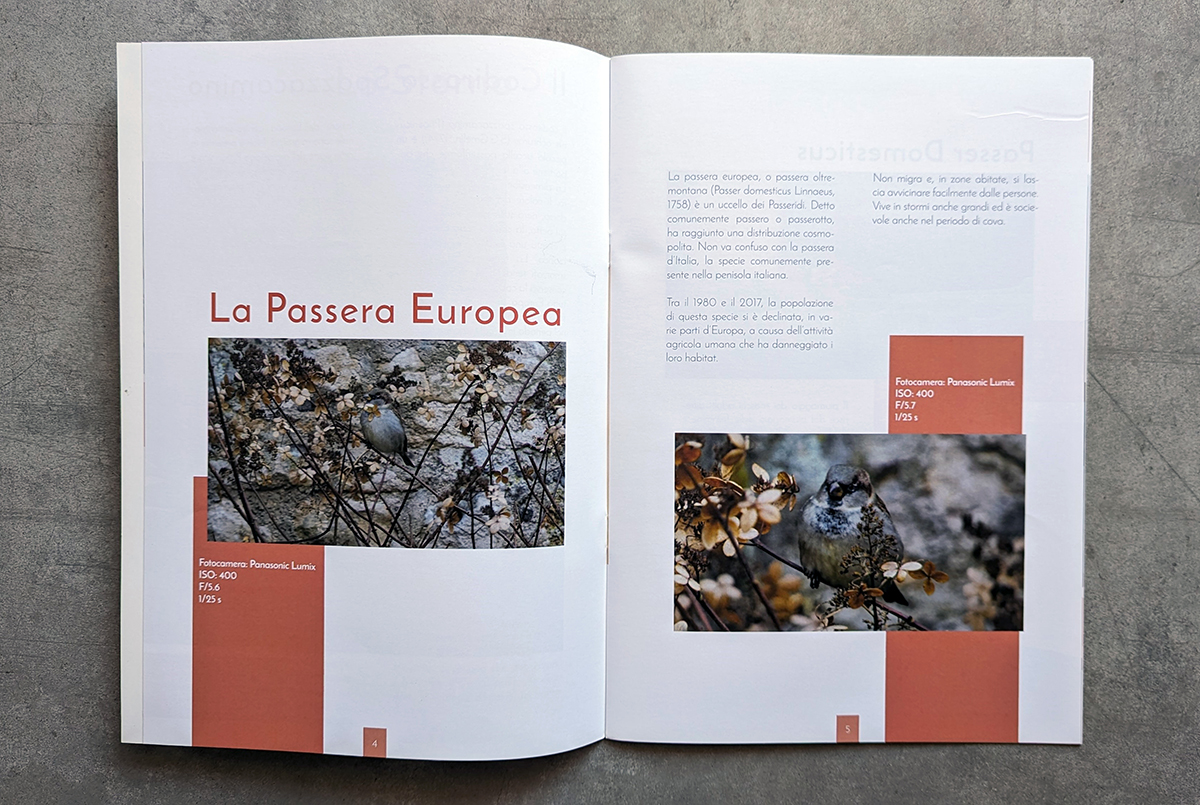 The Bird Encyclopedia