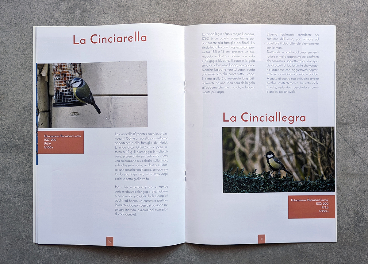 The Bird Encyclopedia