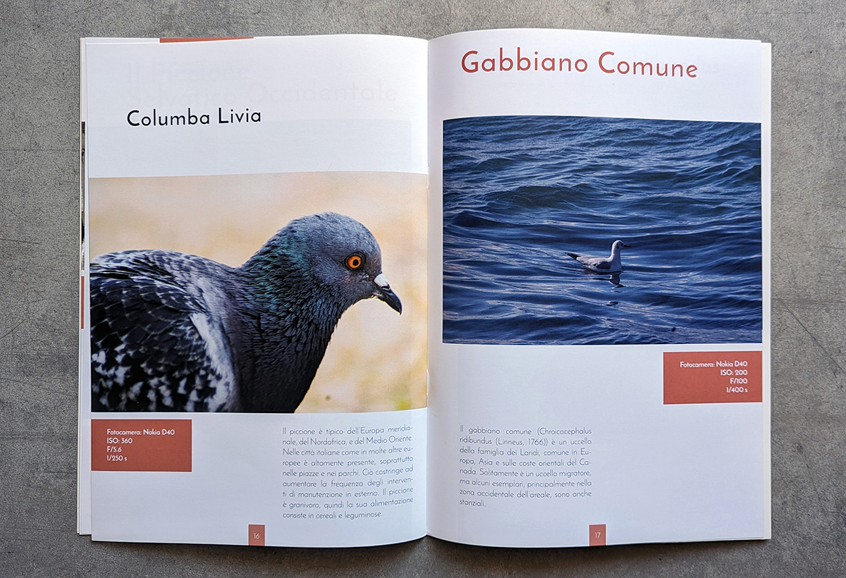 The Bird Encyclopedia